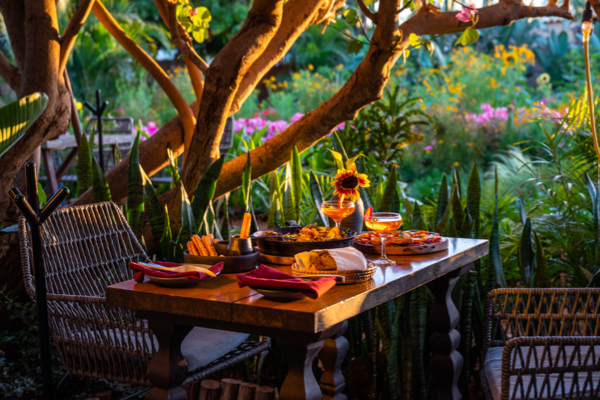 Mexico Dining Guides