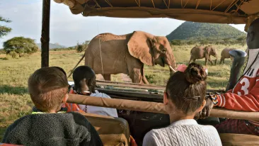 wild life encounters