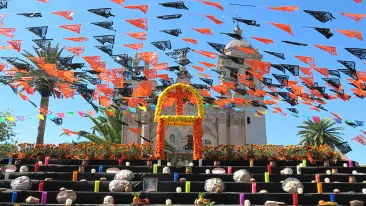 2026trips_diadelosmuertos