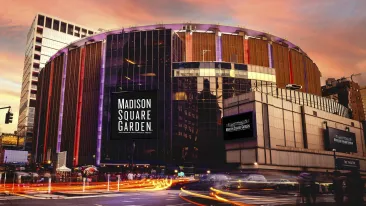 msg