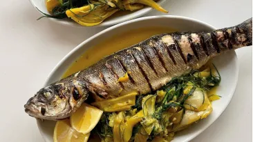 sardines