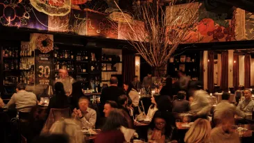 behind_the_bar_gramercy